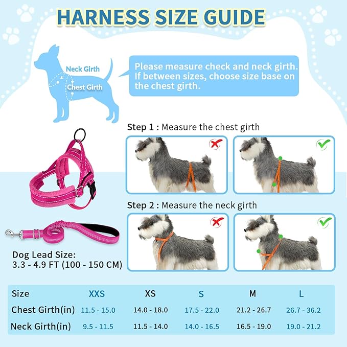 SlowTon No Pull Small Dog Harness and Leash Set, Puppy Soft Vest Harness Neck & Chest Adjustable, Reflective Lightweight Harness & Anti-Twist Pet Lead Combo for Small Medium Dogs(FU,M)