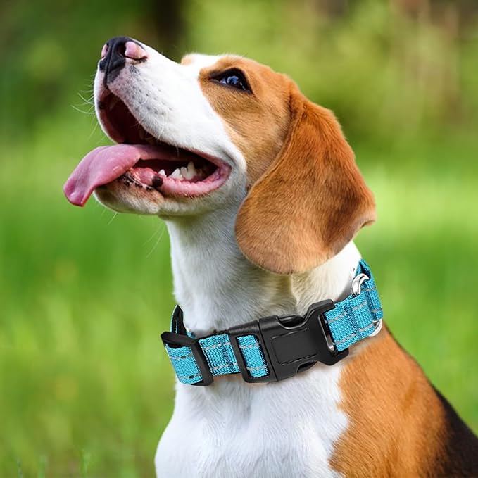 Reflective Martingale Dog Collars. Dog Collar with Quick Release Buckle. Adjustable Soft Padded Breathable Nylon Pet Collar Suitable for Puppies for Small Medium Large Dogs.
