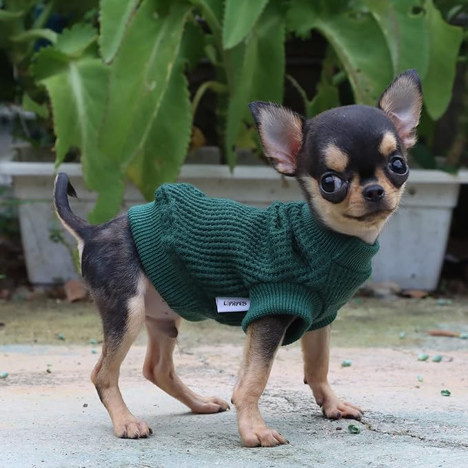 LOPHIPETS Lightweight Dog Sweaters for Puppy Small Dogs Puppy Chihuahua Yorkie Clothes-Atrovirens/XS