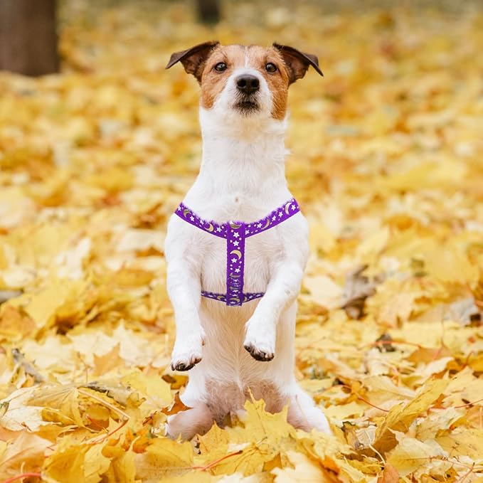 PUPTECK No Pull Dog Harness Soft Adjustable Basic Nylon Step in Puppy Vest Outdoor Walking with ID Tag, Moon Star Purple, S