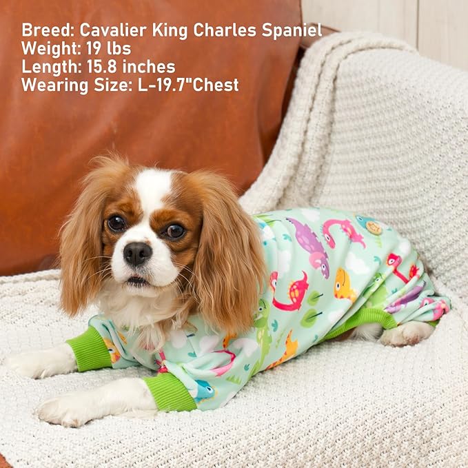 KYEESE Dog Pajamas Comfy Clothes for Dogs Boy Girl Stretchy Pet Jammies Onesie Soft Outfit Velvet Pjs Large Dog Pajamas with Colorful Dinosaurs, XX-Large