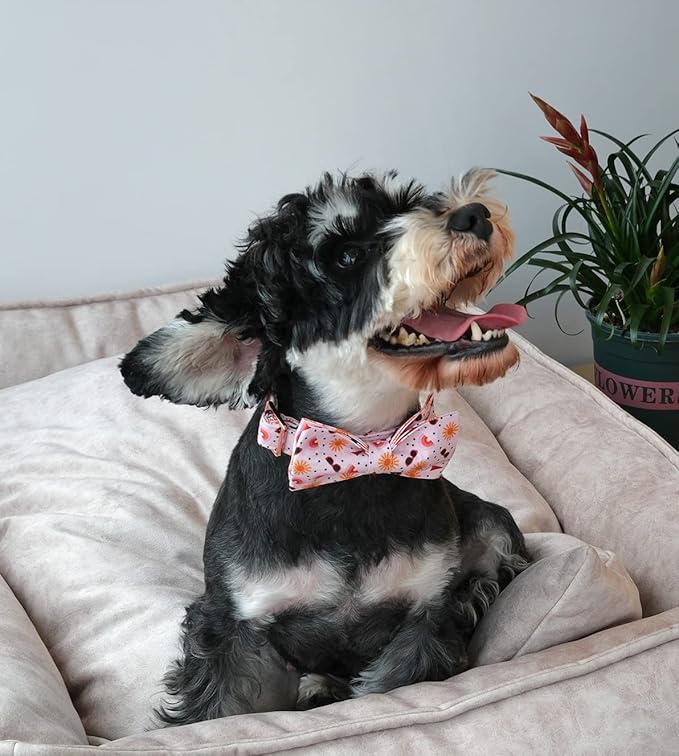 ARING PET Summer Dog Collar-Adorable Dog Collar with Bow, Adjustable Cotton Sun Bowtie Dog Collars Pet Collars with Metal Buckle