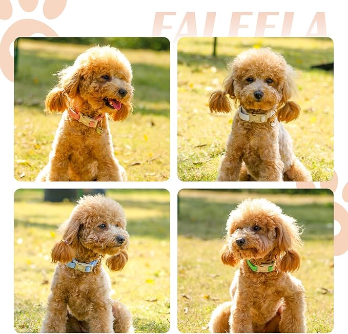 Faleela Dog Collar - Cute & Comfy Cotton Pet Collar, Adjustable Lightweight Design with Quick-Release Buckle, for Small, Medium & Large Dogs - Multiple Styles Available (Medium, Black)