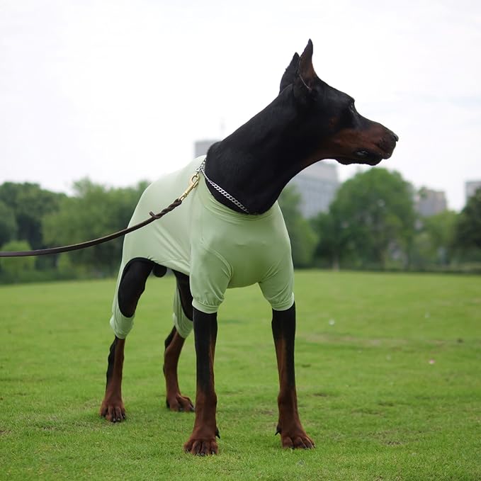 LoveLongLong Dog Jumpsuit with UV Protection and Quick-Dry Fabric for Spring Summer Pet Pajamas Light Green S