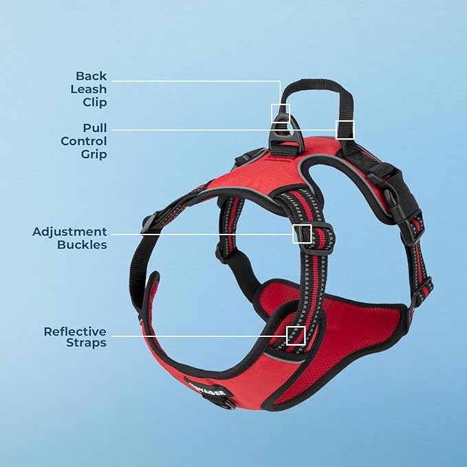 No Pull Dog Harness for Large Dogs, Dual Leash Attachments, Adjustable Soft but Strong Pet Harness with 3M Reflective Technology, (Red Lattice Nylon), XS (Chest: 13-16")