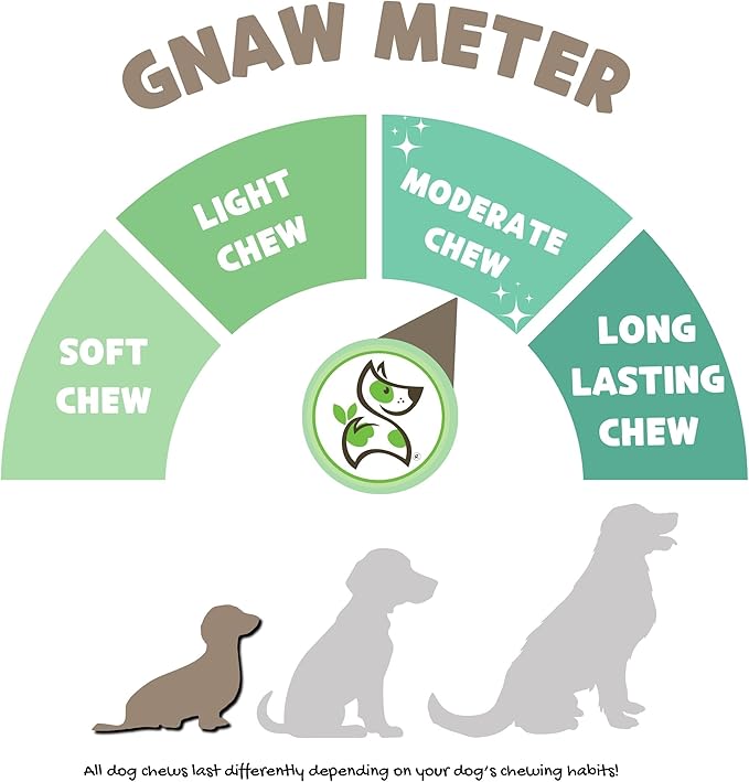Nature Gnaws Extra Thin Bully Sticks for Small Dogs 5-6" (50 Count) - Long Lasting for Light Chewers and Puppies - Natural Beef Dog Chew Bone