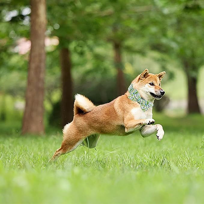 Dog Collar Big Dills Dog Collar Pet Collar Dog Summer Collar Holiday Dog Collar Girl or Boy Pet Dog Collar Adjustable Dog Collar for X-Small Dogs