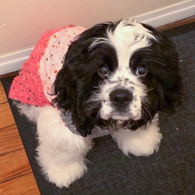 KYEESE Dog Sweater Color Block with Fuzzy Thread Knitted Turtleneck Dog Knitwear with dots in a Variety of Colors for Small Dogs Fall Winter Dog Clothes, Pink, M