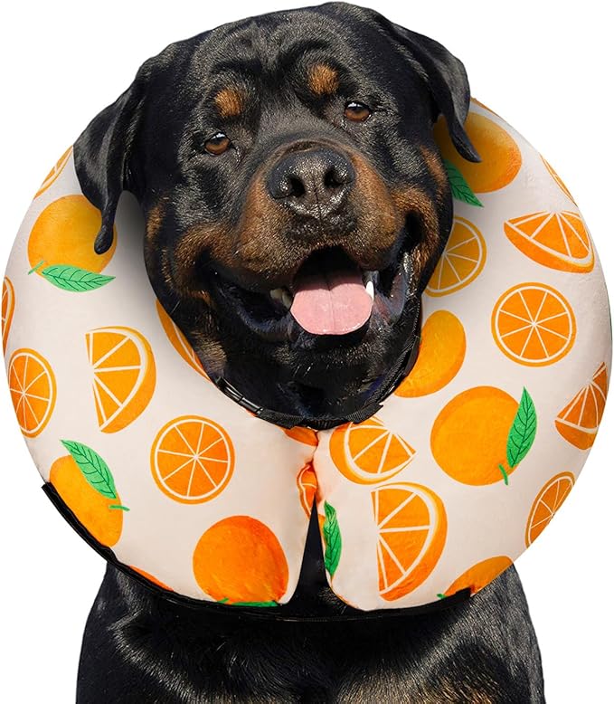 Dog Cone Collar for Small to Large Dogs for After Surgery, Pet Inflatable Neck Donut Collar Soft Protective Recovery Cone for Dogs and Cats - Alternative E Collar Does Not Block Vision - Orange,XL