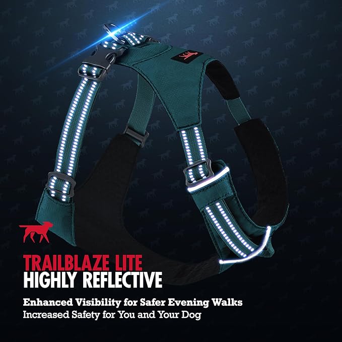 Tuff Pupper Lightweight Dog Harness for Walking | Front & Back Leash Clips | 4-Way Adjustable Fit | Reflective Trim | Easy On/Off Buckles | Lightweight & Breathable | No Pull Design (XXXS, Teal)