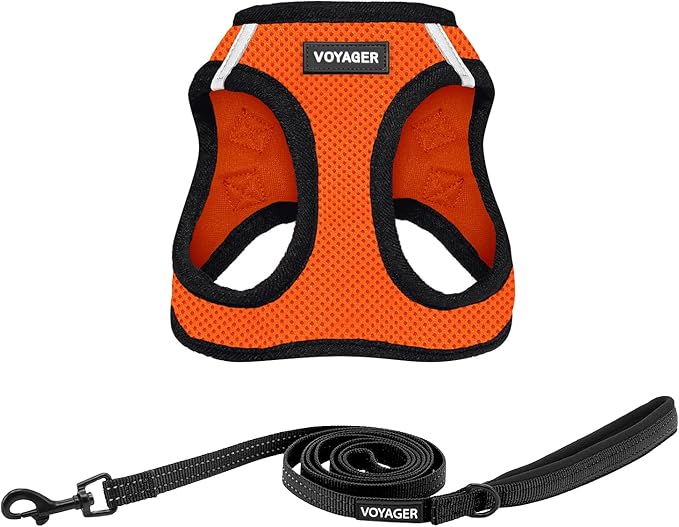 Voyager Step-in Air All Weather Mesh Harness and Reflective Dog 5 ft Leash Combo with Neoprene Handle, for Small, Medium and Large Breed Puppies by Best Pet Supplies - Orange, Medium