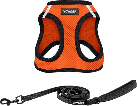 Voyager Step-in Air All Weather Mesh Harness and Reflective Dog 5 ft Leash Combo with Neoprene Handle, for Small, Medium and Large Breed Puppies by Best Pet Supplies - Orange, Medium