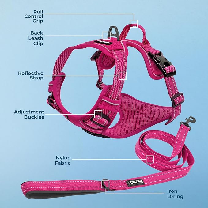 Dog Harness Dual Leash Attachment No-Pull Control Adjustable Soft but Strong Pet Harness for Medium and Large Dogs with 3M Reflective Technology - Harness Leash Set (Fuchsia), M