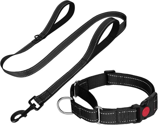 FunTags Reflective Martingale Collar for Dogs, Quick Release Buckle, 5FT Double Handle Dog Leash Padded, Dog Collar and Leash Set, Adjustable for Puppy Dogs (Black, XS)