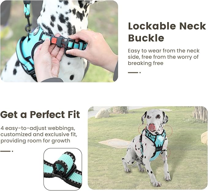 FURRYFECTION Dog Harness | No Pull Dog Harness | Reflective Oxford | Padded Handle | 4 Adjustable Straps | 2 Leash Clips | No Choke Pet Vest Harness for Small Medium Large Dogs | Turquoise | M