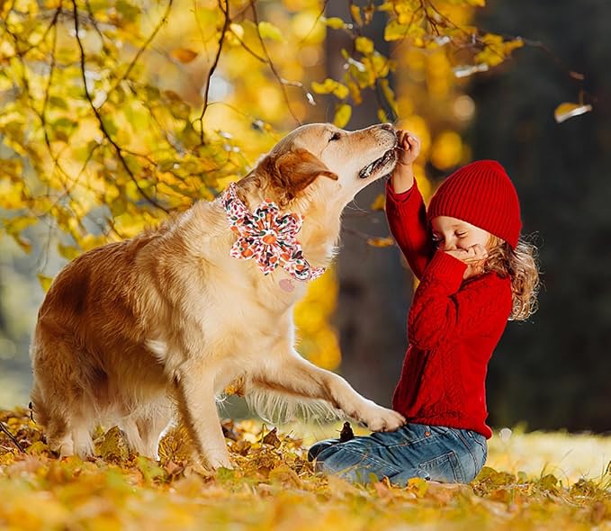 DOGWONG Fall Dog Collar with Bowtie - Fall Thanksgiving Dog Collar Soft Cotton Autumn Dogs Necklace - Halloween Puppy Necklace for Small Medium Large Dogs