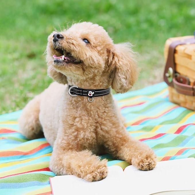 azuza Reflective Dog Collar,Soft Neoprene Padded Pet Collar with ID Tag Ring,Adjustable for Puppy and Small Dogs,Black,XS