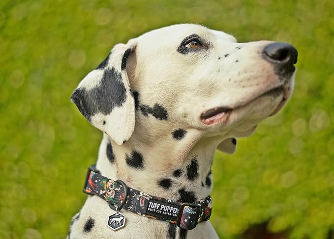 Tuff Pupper Premium Adjustable Dog Collar for Medium Boy Dogs, Stylish Pattern Collars Designed in USA, Quick Release Buckle, RebelBlack Print for Male Dogs, Medium (1 Inch Wide x 13-18 Inch Neck)