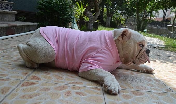 Lovelonglong Bulldog Clothes Dog Clothing Blank T-Shirt Tee Shirts for French Bulldog English Bulldog American Pit Bull Pugs 100% Cotton Skin Care Pink B-S