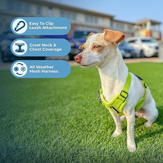 Voyager Step-in Air All Weather Mesh Harness and Reflective Dog 5 ft Leash Combo with Neoprene Handle, for Small, Medium and Large Breed Puppies by Best Pet Supplies - Set (Lime Green), S