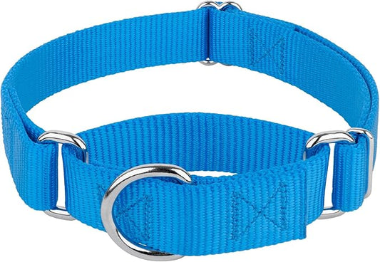 Country Brook Petz Martingale Dog Collar - Heavy-Duty Training Collar with No Buckle - Service Dog Collar for All Pups - Vibrant, Colorful Collection (Ice Blue, 3/8 Inch, 3XS)