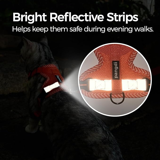 Cat Harness and Leash Escape Proof Extra Large Kitten Harness Maine Coon Cat Vest for Walking Travel, Orange, XL