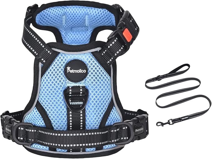 Petmolico No Pull Dog Harness and Leash Set, No Choke 4 Leash Attchments Easy Control Handle Soft Padded Reflective Vest Dog Harness for Small Dog Breed, Sky Blue Small