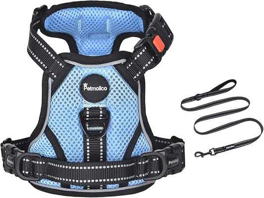 Petmolico No Pull Dog Harness and Leash Set, No Choke 4 Leash Attchments Easy Control Handle Soft Padded Reflective Vest Dog Harness for Small Dog Breed, Sky Blue Small