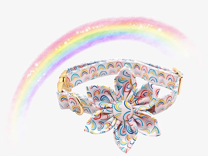Uniqe Style Paws Flower Dog Collar, Adjustable Dog Collar with Flower, Durable Rainbow Floral Pattern Pet Collar for Medium Dogs