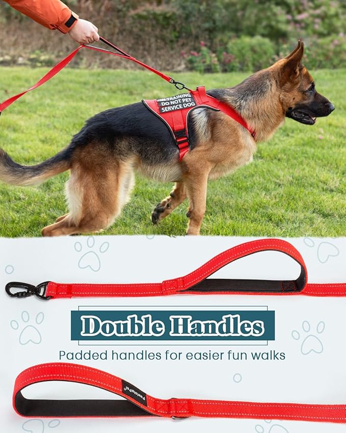 Reflective Red Service Dog in Training Vest Harness Leash Set for Medium Dogs, Adjustable Heavy Duty Padded Dog Harness, with Front Clip and Metal Buckles Do Not Pet for Training, Hiking