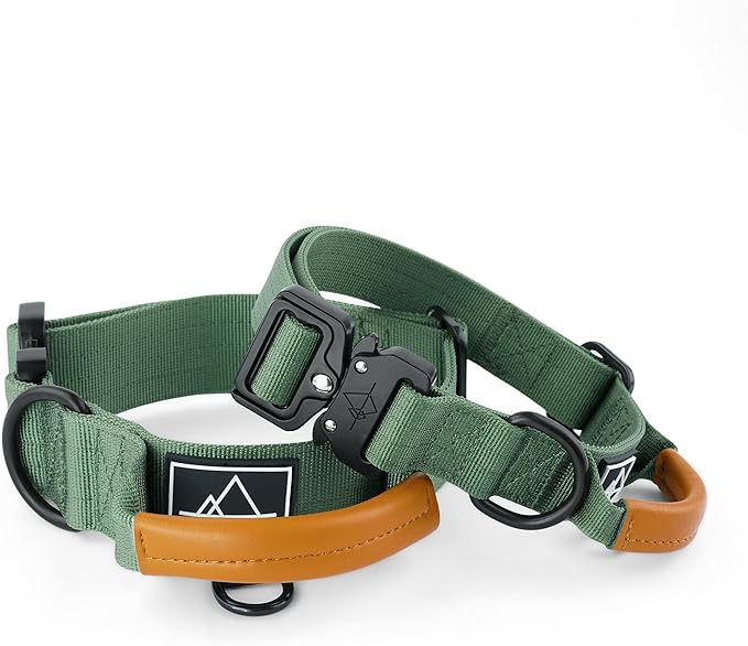 Made to ROAM Premium Explorer Control Collar - Adjustable Heavy Duty Nylon Dog Collar with Quick-Release Metal Buckle and Handle (Oregon Haze, Control Size 5)