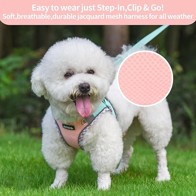 AIITLE Teacup Puppy Harness with Leash - Adjustable Soft Vest with Magic Velcro & Reflective Safety Strips, Easy-Put-On for Poodles, Pomeranians - Gym, Hiking, Travel (Turquoise-Pink, S)