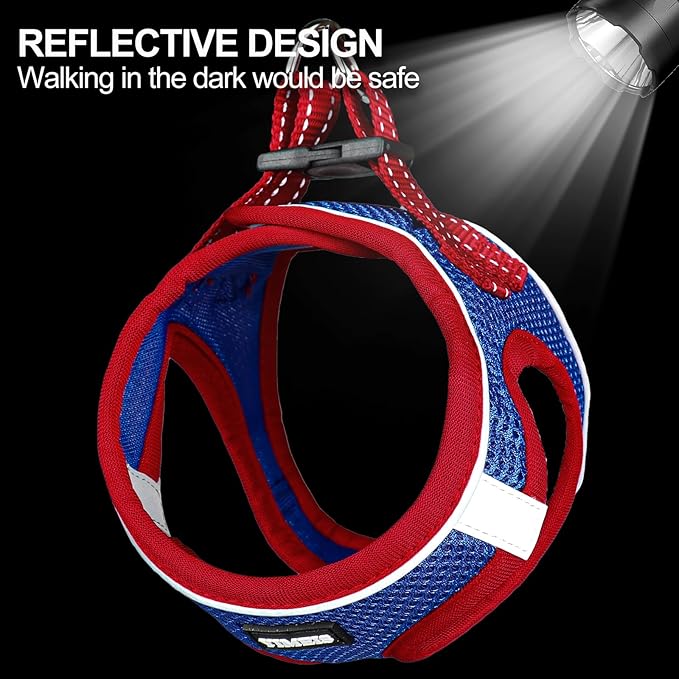 Dog Harness for Small Dogs and Leash Set, Honeycomb Grid, Reflective Lightweight Harness & Anti-Twist Pet Lead Multi Color, Size: XS-S-M. (XS, Red & Blue)