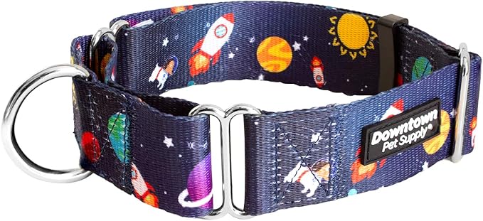 Downtown Pet Supply - Martingale Collar for Dogs - Dog Training Collar - Big, Wide & Thick Dog Collar - Escape-Proof, Weatherproof, Durable and Comfortable - Space - Medium Dog Collar