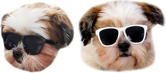 G014 Dog Cat Pet 80s Sunglasses Goggles for Small Breeds up to 15lbs (2-Pack Black+White)