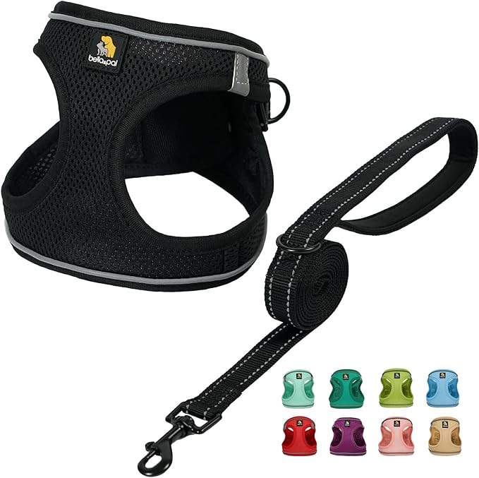 BELLA & PAL Puppy Harness with Leash Set, Dog Harness for Small Dogs No Pull, Dog Leash for Small Dogs, Step in Harness for Extra Small Dogs, Black Harness, M