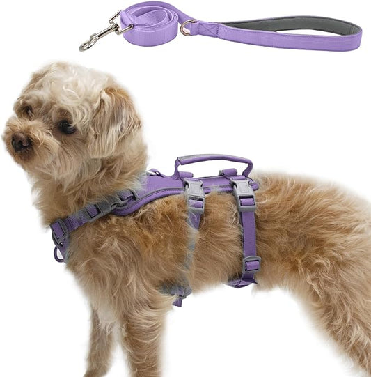 Escape Proof Dog Harness and Leash Set, Lightweight Dog Harness with Lift and Assist Handle, No Pull Reflective Pet Vest for Small Medium Dogs, Ideal for Puppy Walking and Training (Purple,XS)
