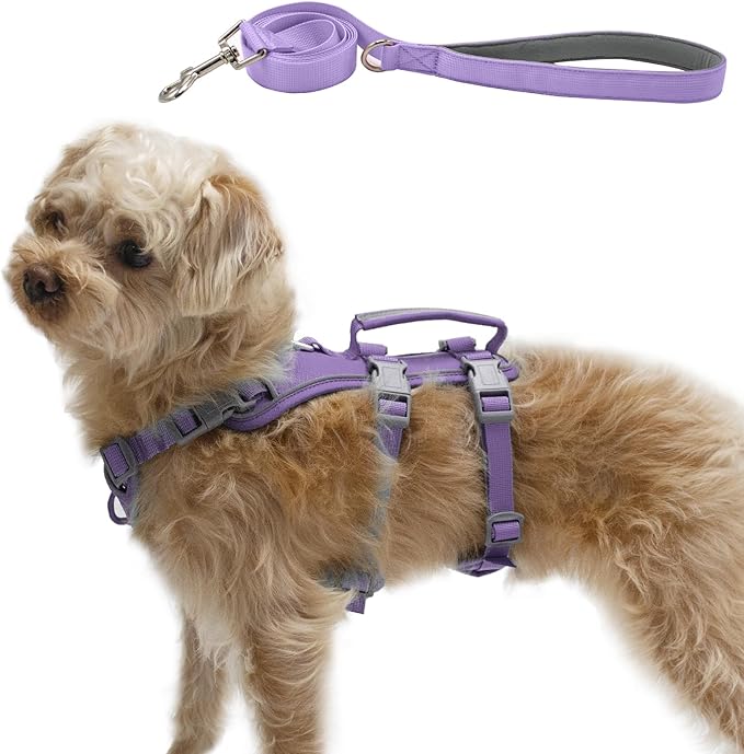 Escape Proof Dog Harness and Leash Set, Lightweight Dog Harness with Lift and Assist Handle, No Pull Reflective Pet Vest for Small Medium Dogs, Ideal for Puppy Walking and Training (Purple, S)