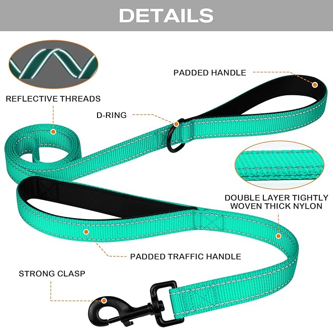 Joytale Dog Leash Heavy Duty for Large Dogs That Pull, Double Handle for Traffic Control, Double-Sided Reflective Leashes for Large Medium Dogs Night Safety, 6FT, Teal