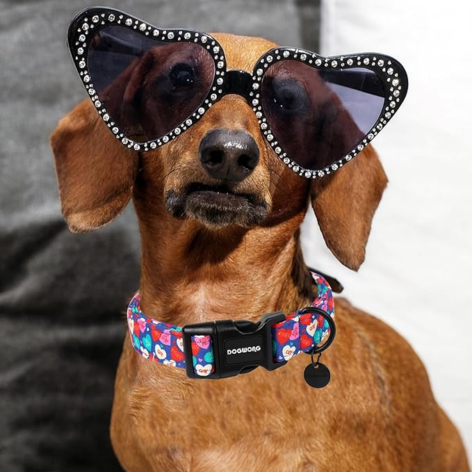 DOGWONG Valentine's Dog Collar - Blue Heart Candy Adjustable Cotton Heart Dog Collar - Perfect for Small to Medium Dogs