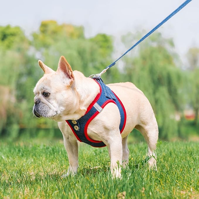 PUPTECK Dog Harness and Leash Set for Small Medium Dogs No Pull Step-in Soft Mesh Puppy Cat Vest Harnesses Reflective at Night, Denim NavyBlue M