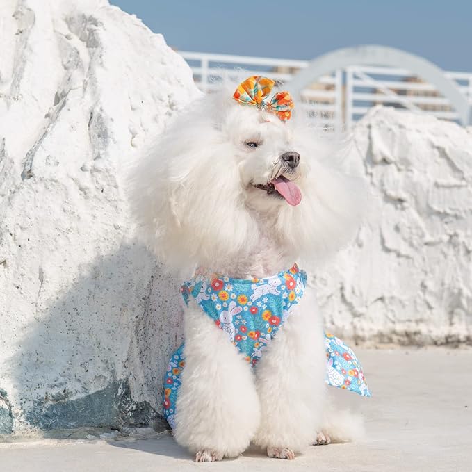 CuteBone Dog Easter Dress Puppy Sundress Pet Outfit Summer Fashion for Small Dogs Girl Cat Clothes BF08XS