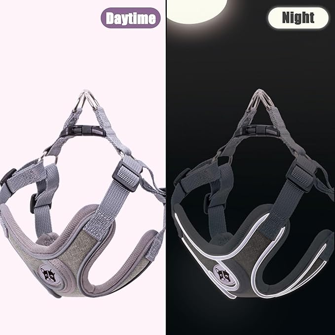 Puppy Harness and Leash Set,No Pull Adjustable Step in Soft Mesh Vest Harness,Easy Walk Reflective Pet Harness with Padded Handle for Walking Training Small Medium Large Dogs and Cats (Grey, XS)