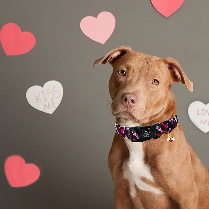 Elegant little tail Dog Collar, Red Heart Dog Collars Female or Male Adjustable Cotton Pet Collar with Quick Release Buckle for Small Medium Large Dogs