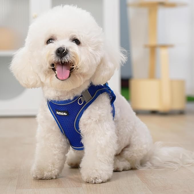 AIITLE Dog Harness, Spring No-Pull Cat Harness with a Leash, Adjustable Reflective Dog Vest, Cat Harness Escape Proof, Outdoor Walking, Camping for Extra Small Dogs and House Cats Royal Blue XXXS