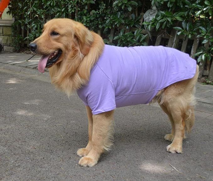 Lovelonglong Pet Clothing Dog Costumes Basic Blank T-Shirt Tee Shirts for Medium Large Dogs Violet XXL+