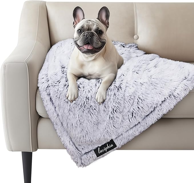 Luciphia Large Waterproof Dog Blanket for Pet Washable Liquid Proof Furniture Protector Shaggy Plush Calming Long Faux Fur Bed Cover for Couch Calming Cat Blankets for Medium, Mist Grey, 30" x 40"