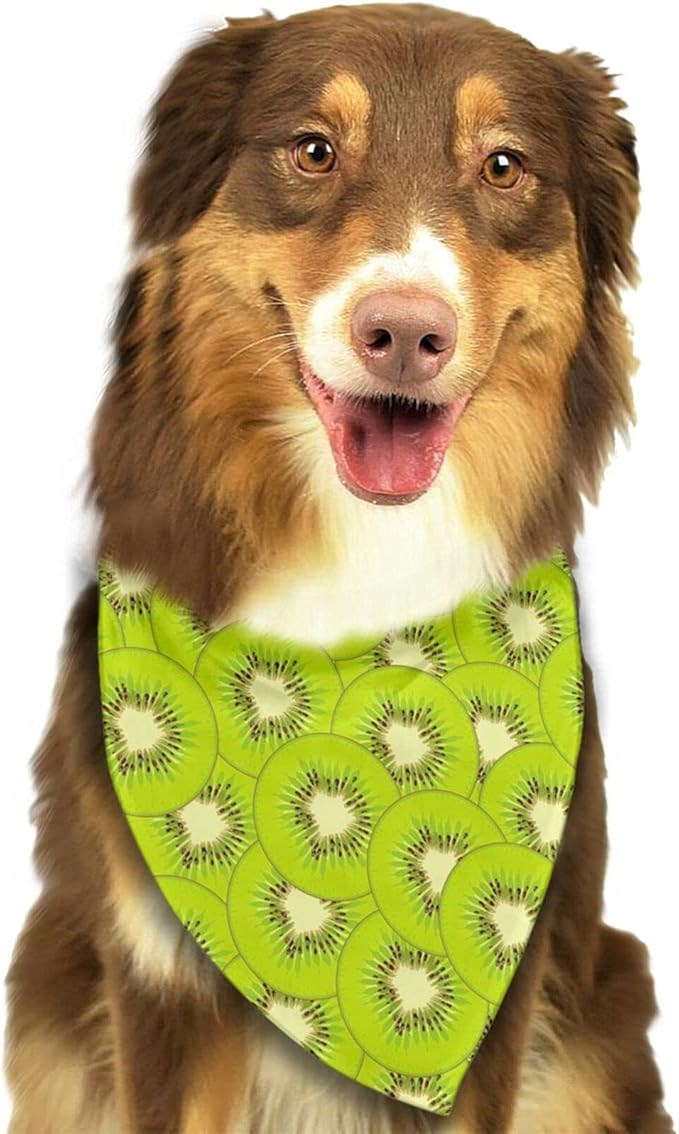 Kiwi Fruit Texture Dog Bandana Scarf Triangle Bibs Pet Accessories Cat Kerchief