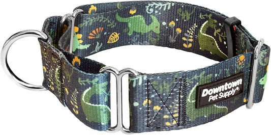 Downtown Pet Supply - Martingale Collar for Dogs - Dog Training Collar - Big, Wide & Thick Dog Collar - Escape-Proof, Weatherproof, Durable and Comfortable - Dino - Small Dog Collar