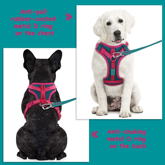 No Pull Dog Harness Adjustable Soft Padded Pet Vest with Control Handle Adorable Daily Harness for Dogs（Viridian Green S）